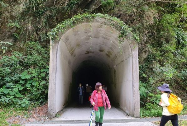 白楊步道旅遊資訊