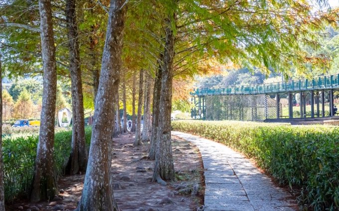 全球最美自行車道 全球最美自行車道