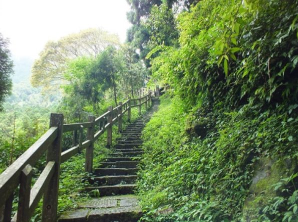 奮起湖步道攻略