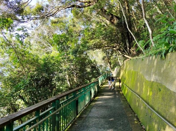 日月潭涵碧步道怎麼走