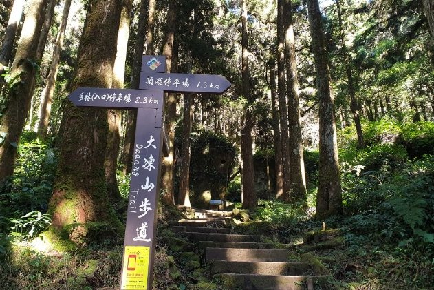 奮起湖環湖步道