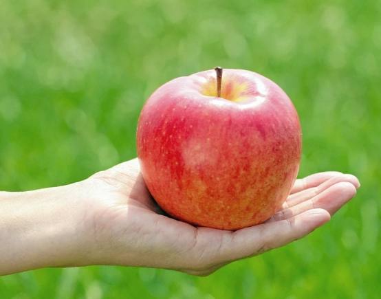 食物升糖指數一覽表：完整高低GI食物清單與健康應用指南