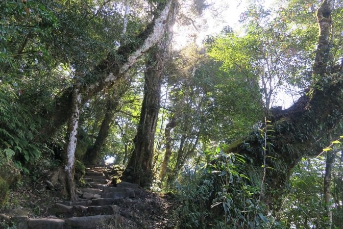 奮起湖步道等級