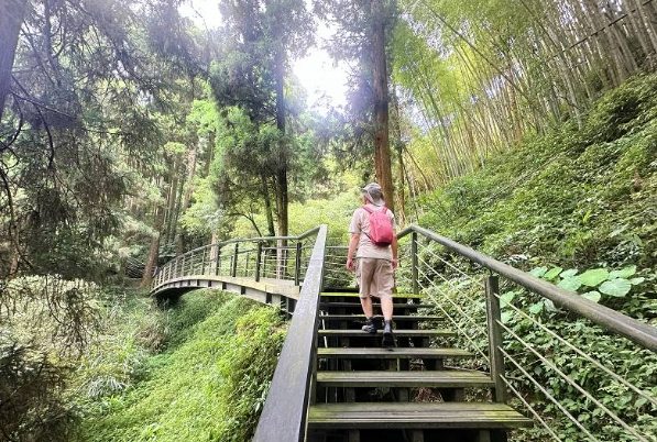 奮起湖步道開放時間