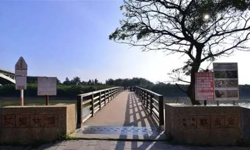 新豐紅樹林怎麼去 新豐紅樹林怎麼去