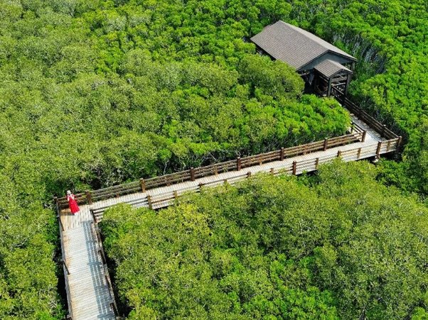 新豐紅樹林怎麼去