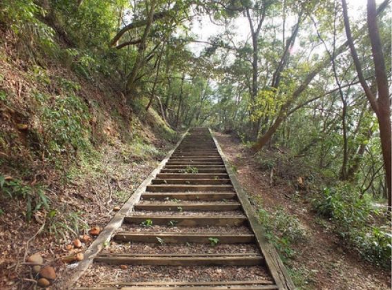 橫山步道登山 橫山步道登山