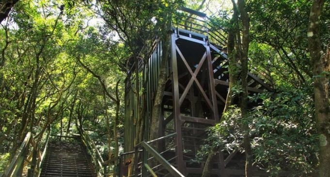 小溪頭環狀步道路線