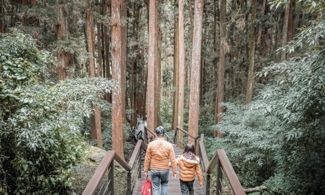 奮起湖步道怎麼走