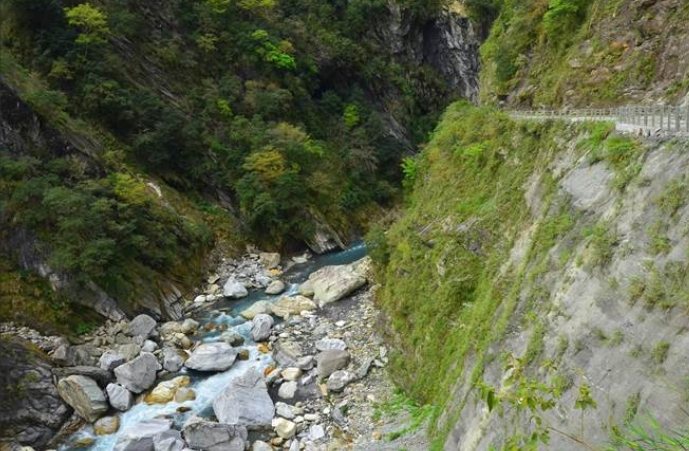 白楊步道開放時間 白楊步道開放時間