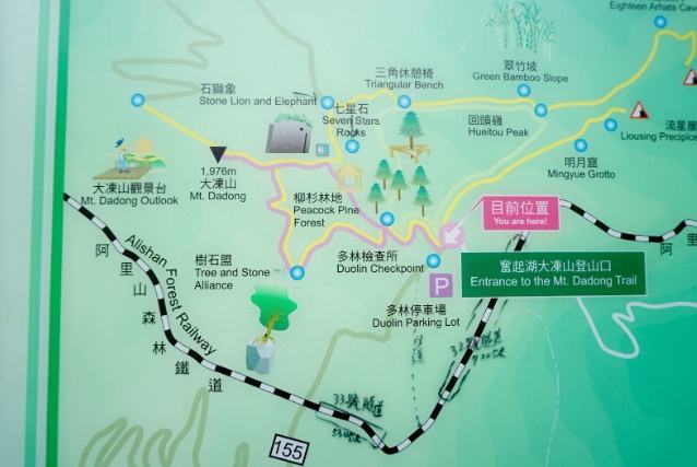 奮起湖杉林棧道