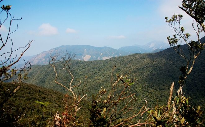 桃園登山景點