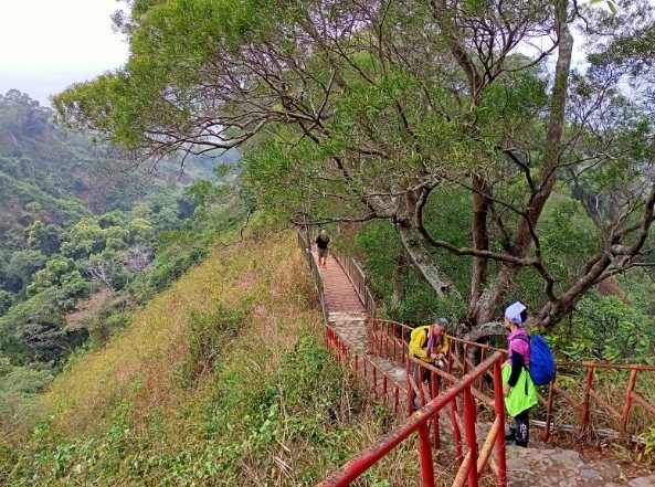 橫山步道路線 橫山步道路線