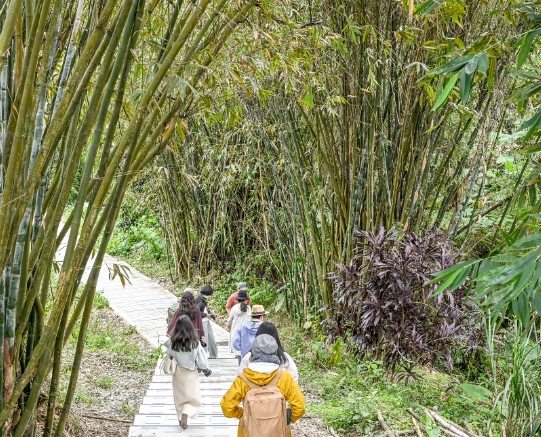 橫山步道路線 橫山步道路線
