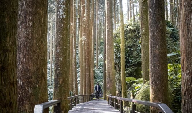 奮起湖步道攻略
