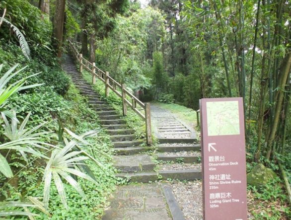 杉林步道遊覽時間