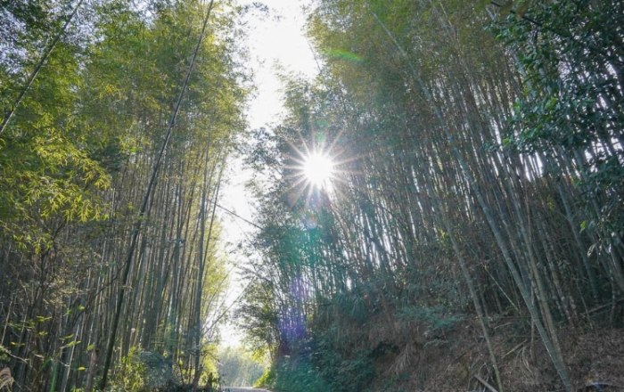 隙頂雲海徒步 隙頂雲海徒步