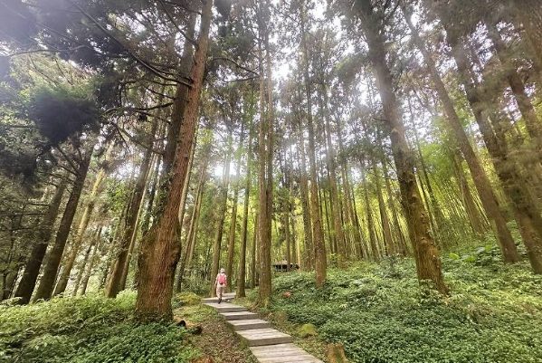 杉林步道遊覽時間
