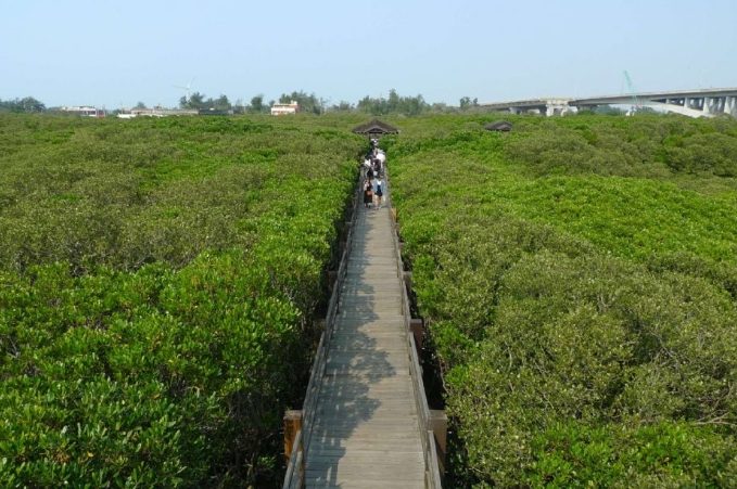 新豐紅樹林怎麼去 新豐紅樹林怎麼去