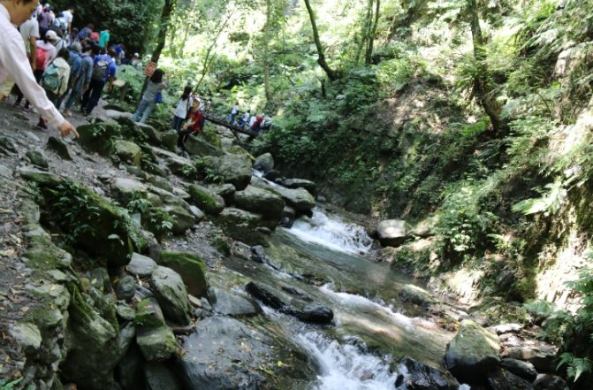 林美石磐步道維修