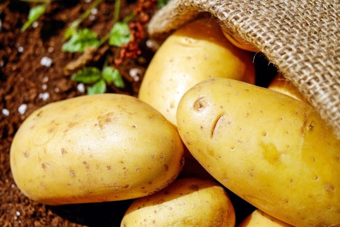 馬鈴薯營養成分