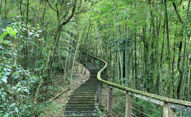 步道難度等級 步道難度等級