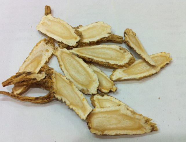 西洋蔘最佳服用時機