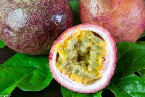 百香果皮食用 百香果皮食用