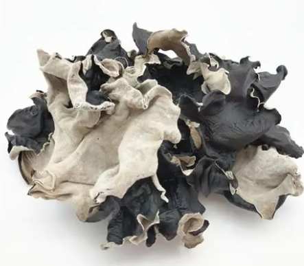 白背木耳紅棗水副作用 白背木耳紅棗水副作用