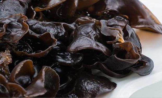 黑木耳每日食用量