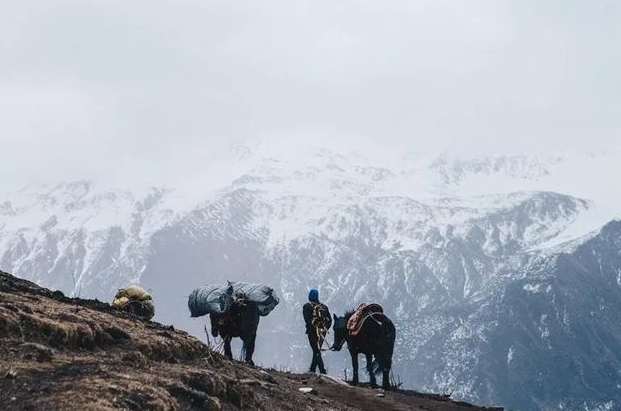 一個人爬山安全 一個人爬山安全