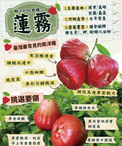 蓮霧壞處 蓮霧壞處