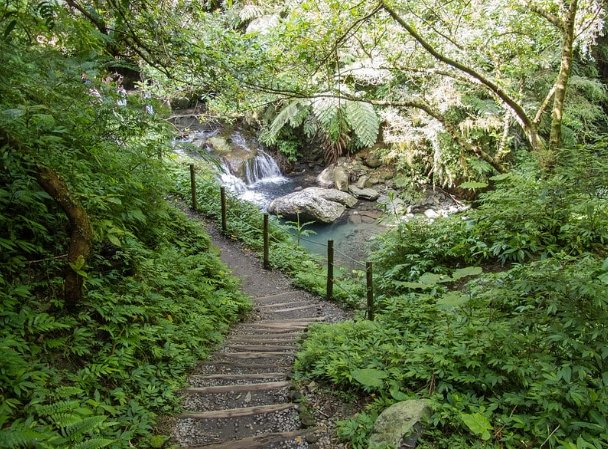 森林步道徒步指南 森林步道徒步指南