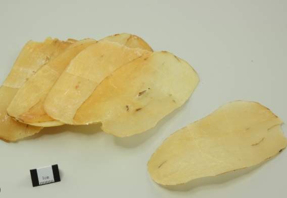 天麻禁忌人群 天麻禁忌人群