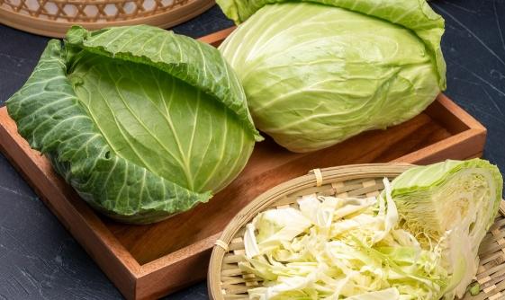 高麗菜飲食禁忌
