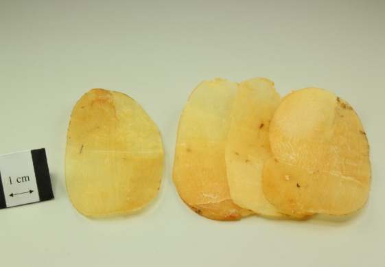 天麻天天吃 天麻天天吃