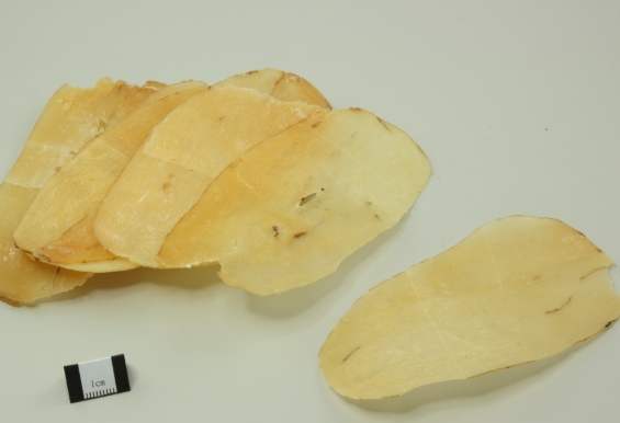 天麻食用頻率 天麻食用頻率