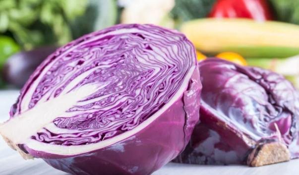紫椰菜食用禁忌