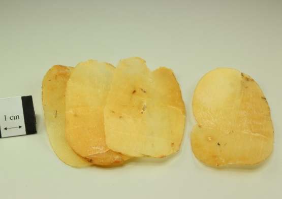 天麻副作用 天麻副作用