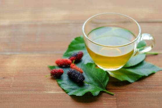 桑葉茶飲用劑量