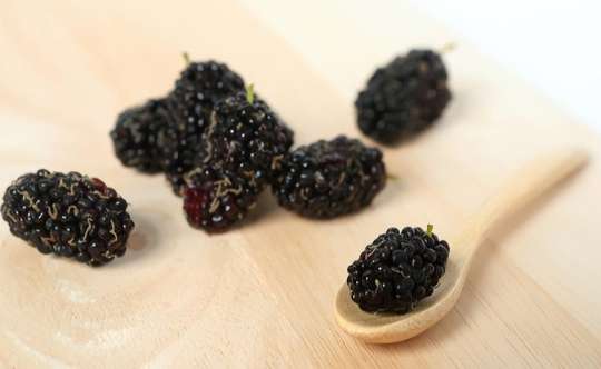 桑葚乾營養價值 桑葚乾營養價值