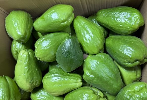 合掌瓜食用注意