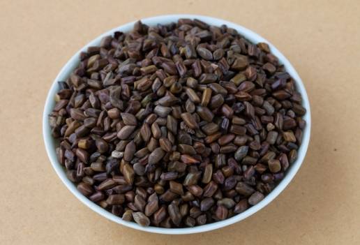 決明子不良反應