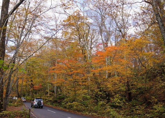 奧入瀨溪流交通