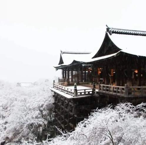 京都2月下雪