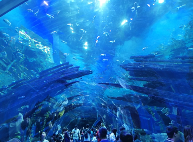 海世界門票優惠