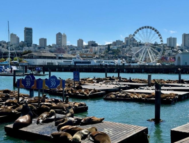 漁人碼頭美食推薦