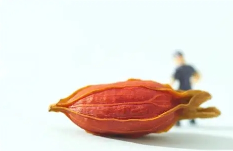 梔子花香薰好處