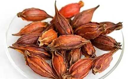 梔子功效與副作用