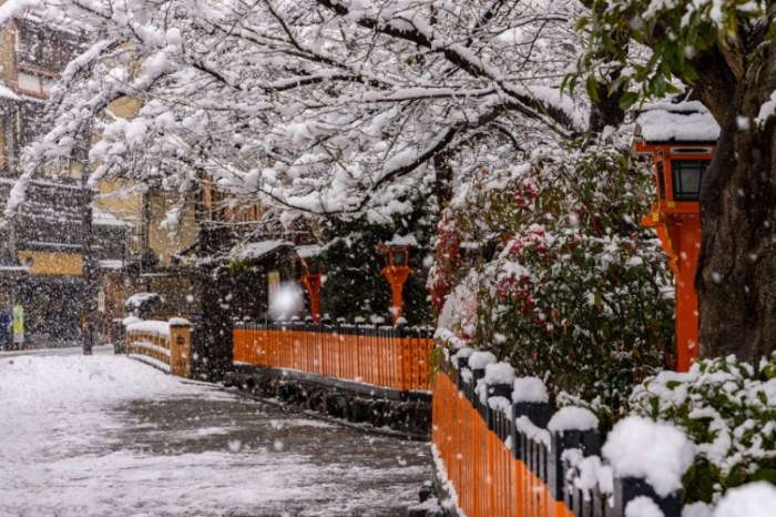 京都冬季天氣